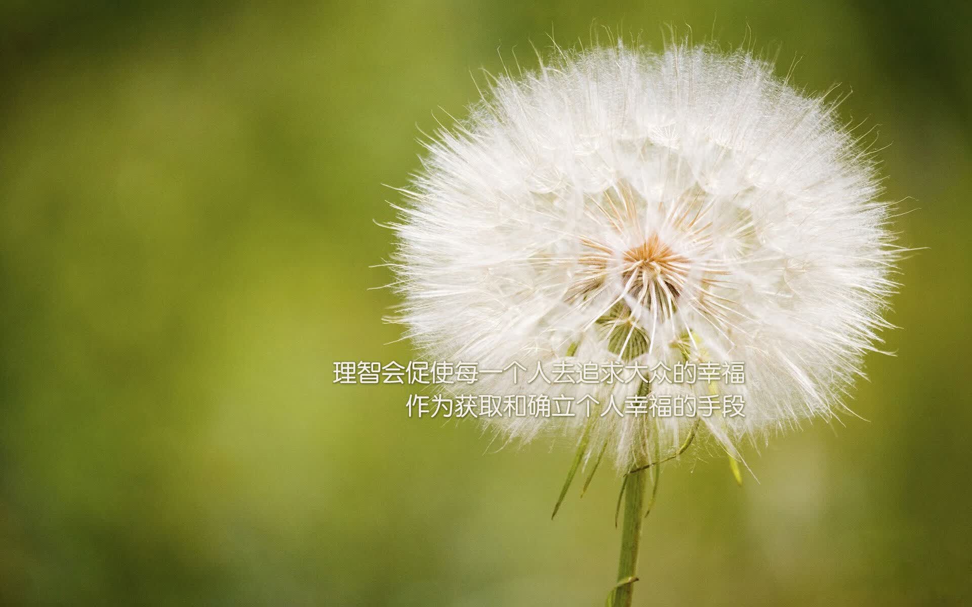 世界乒乓球青年赛晋级名单公示，世界乒乓球青年赛晋级名单公示及图片